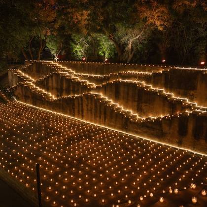 Photo-op and Aisle / Walkway — wedding decor — Alila + Samode Jaipur